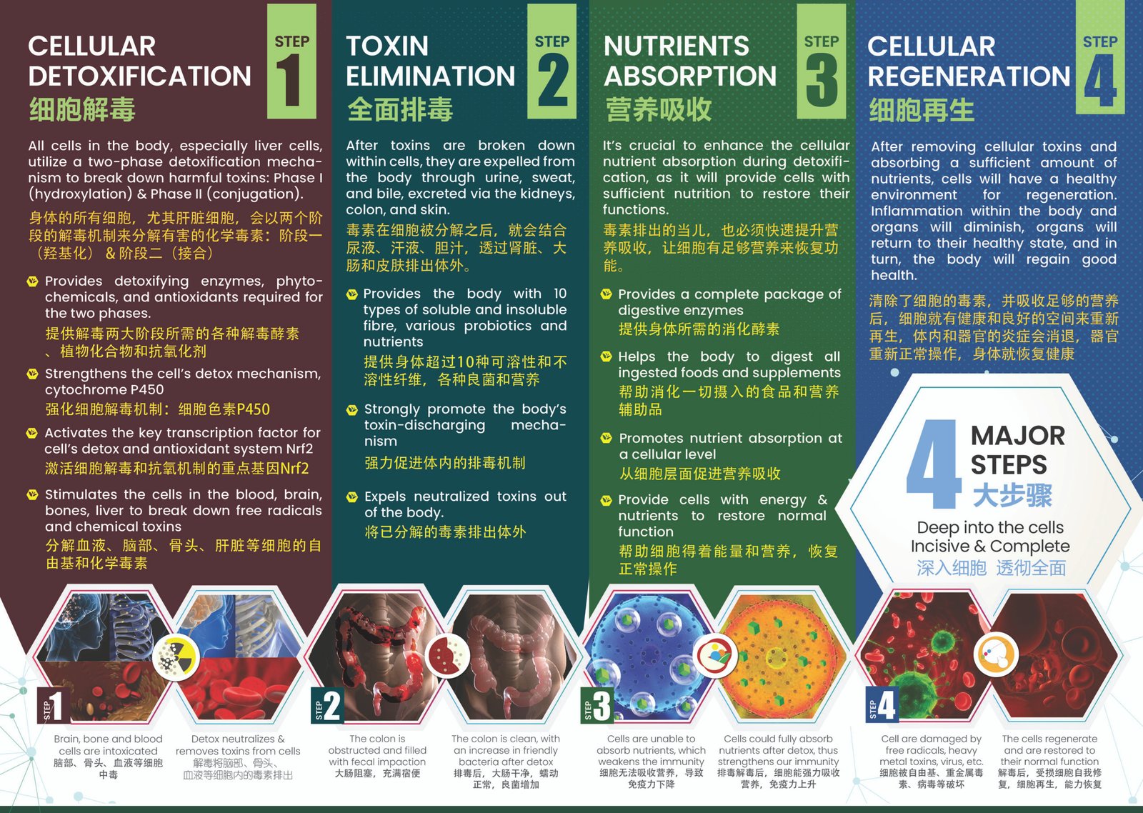 Detox leaflet 2024 embed 05