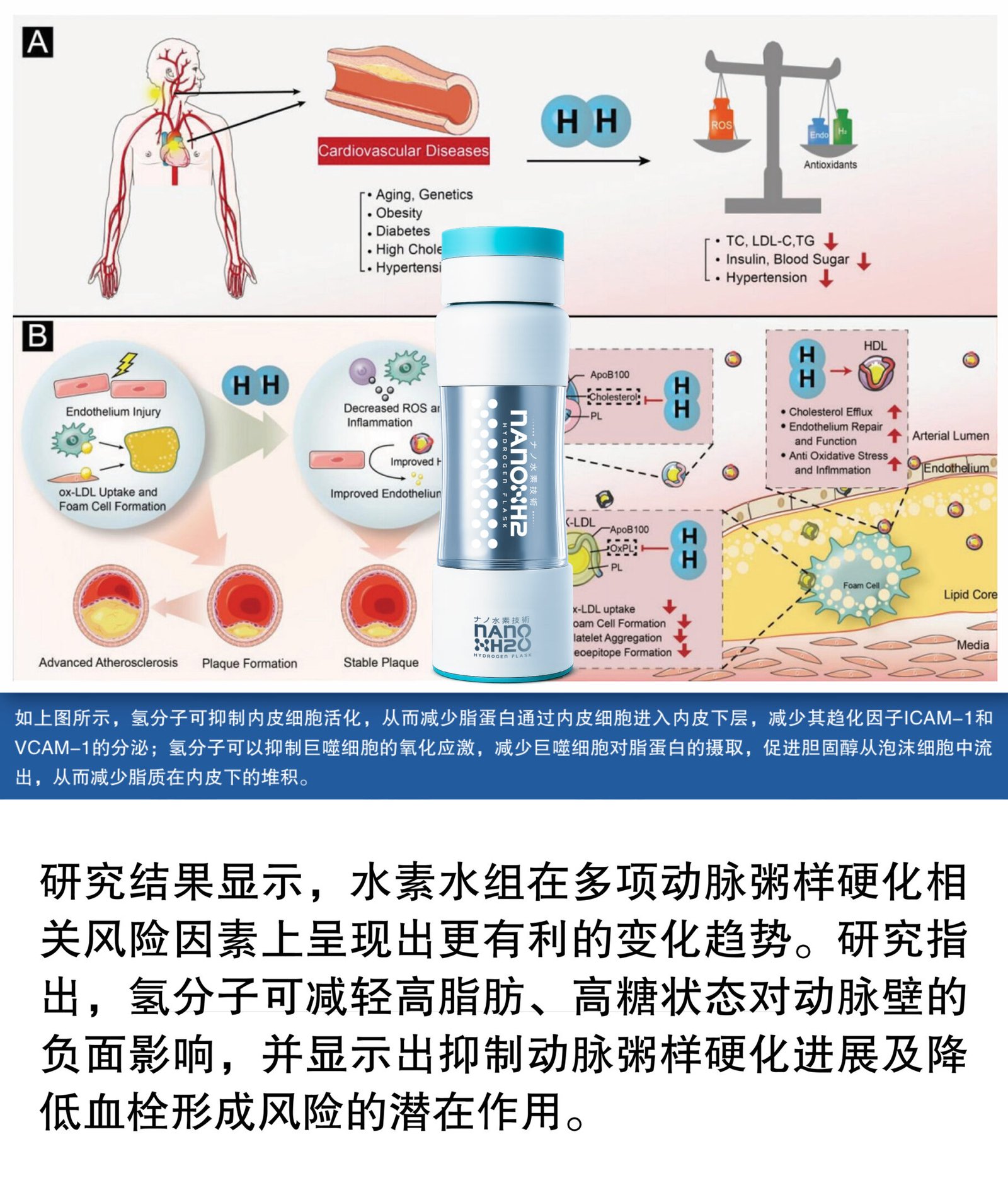 Nano Hydrogen Flask Desktop