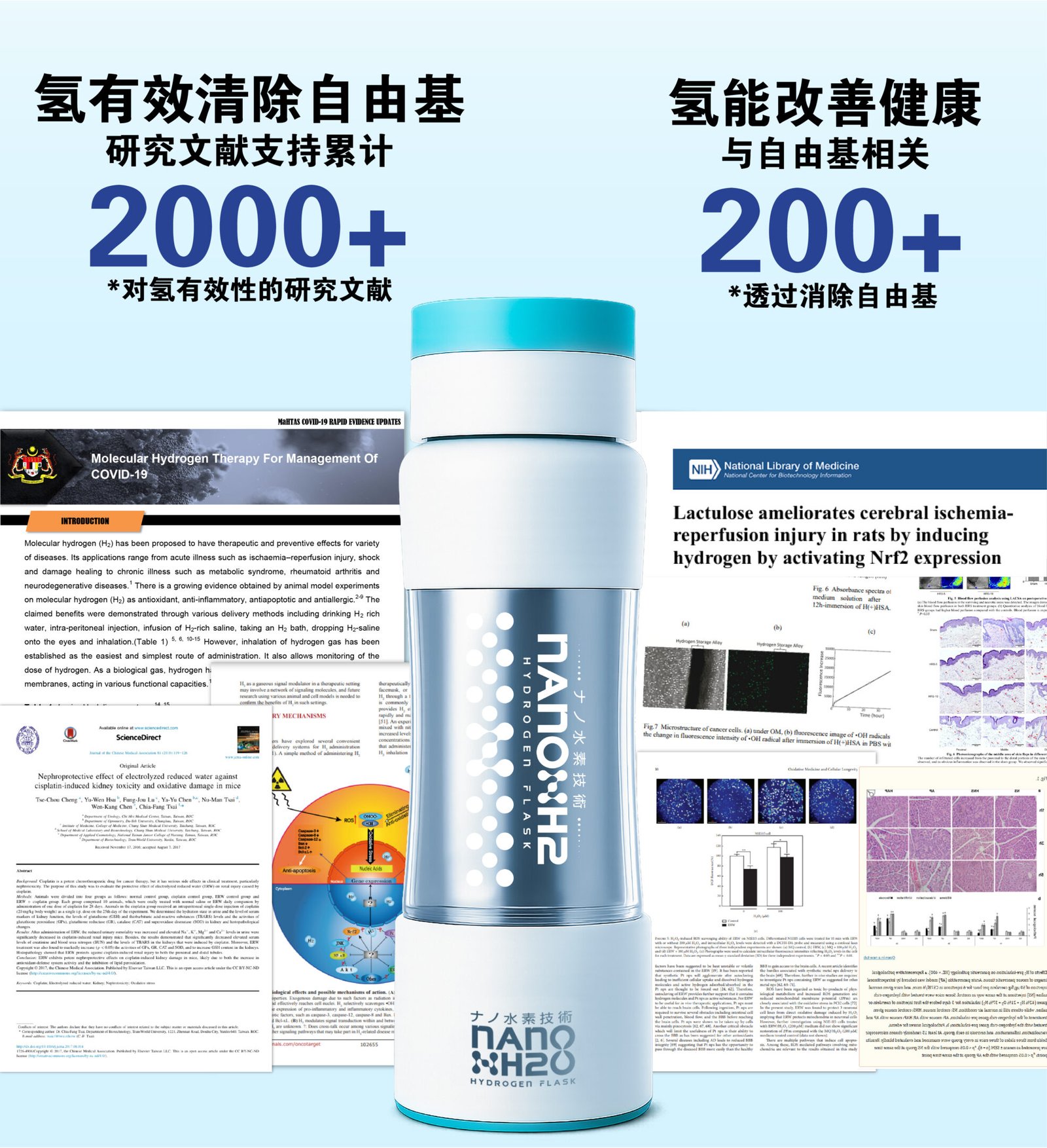 Nano Hydrogen Flask Desktop